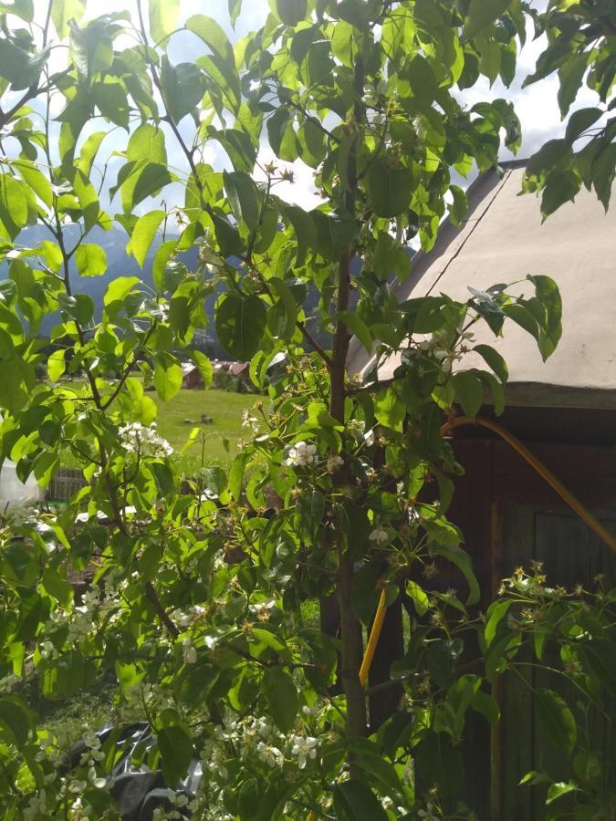 Cianbolpin Guesthouse Канацеї Екстер'єр фото